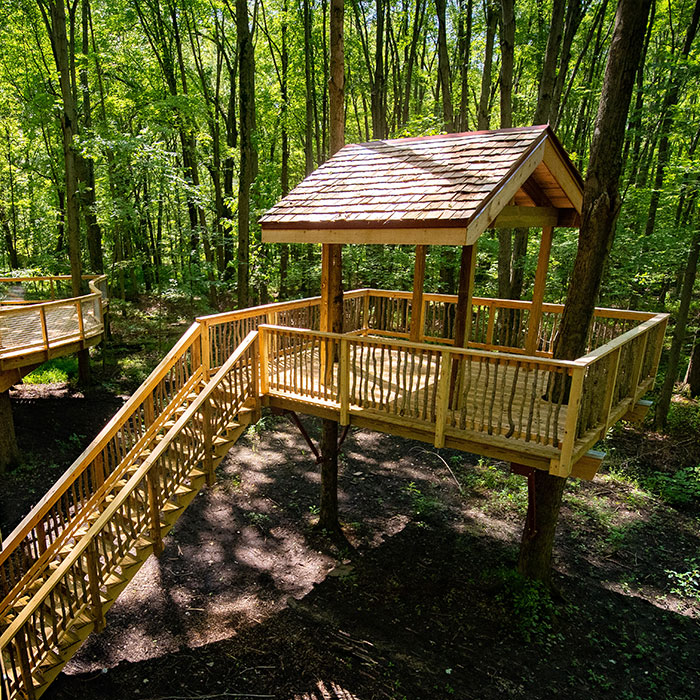 2020-Treehouses-9.jpg