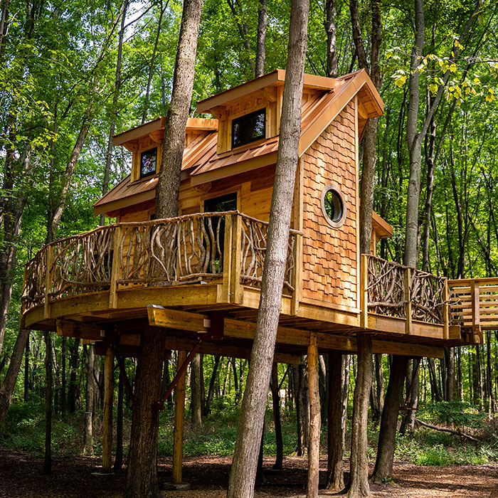 2020-Treehouses-11.jpg