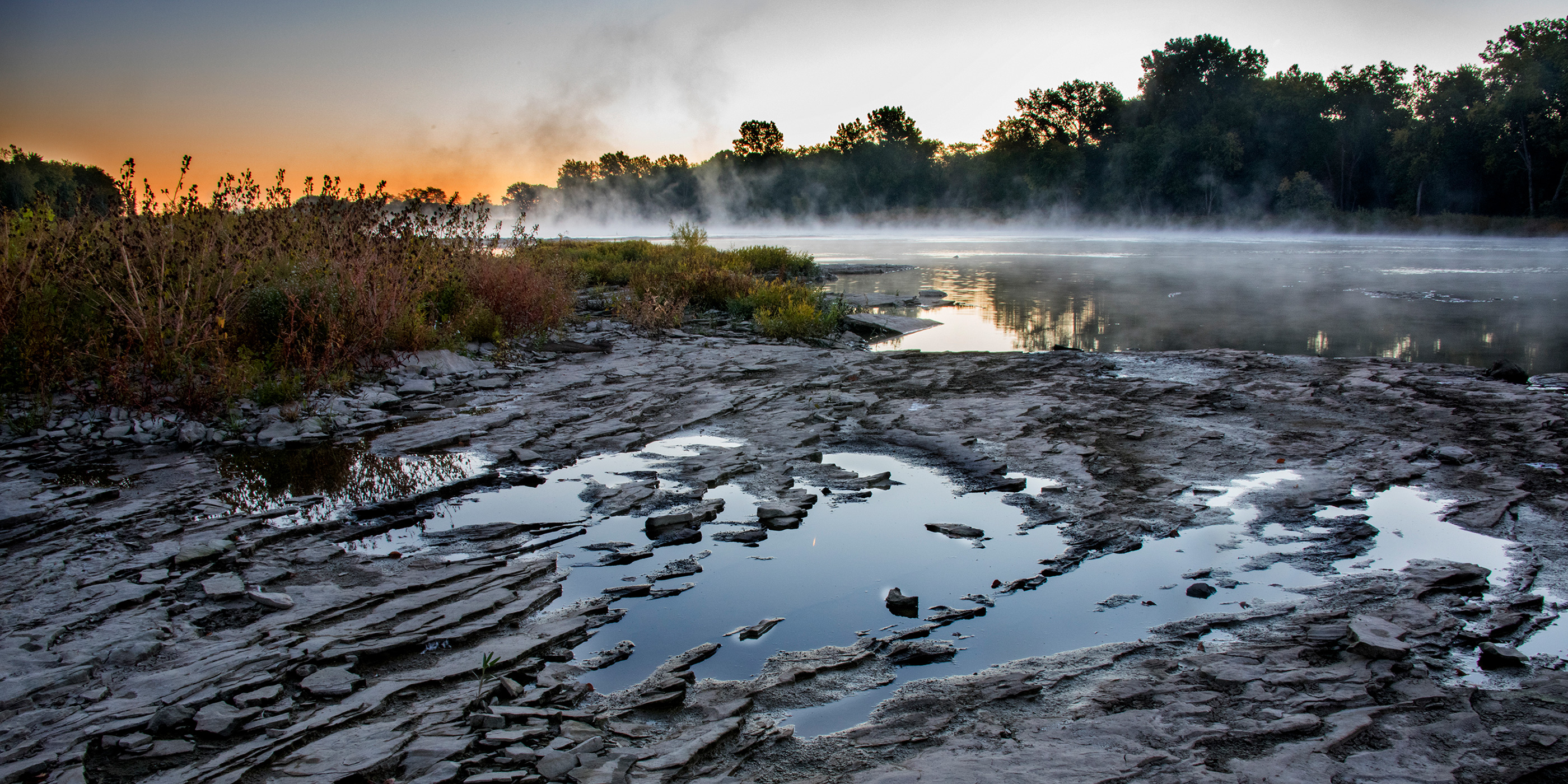 covid-updates-headerjpg